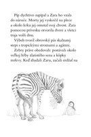 b102f1f16521_zara-ajzz-zmateny-tucniacik