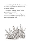 b102l10000020_zvieraci-zachranari-vystra