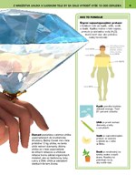 b102l10000061_neuveritelny-svet-ludske-t