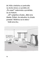 b102l10000072_julinka-mala-zverolekarka-