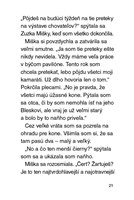 b102l10000073_julinka-mala-zverolekarka-