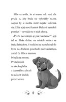 b102l10000260_kuzelna-zvieracia-kaviaren