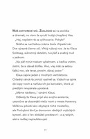 b102l10000281_vyries-svoj-vlastny-pripad