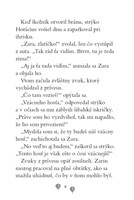 b102l10000350_zara-a-jej-zachranna-zoo-r