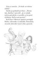 b102l10000351_zara-a-jej-zachranna-zoo-v