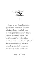 b102l10000413_steniatka-z-hunatej-akadem