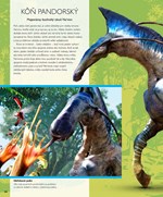 b102l10000539_avatar-obrazovy-srievodca-