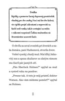 b102l10000586_sherlock-holmes-vysetruje-