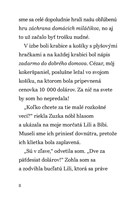 b102l10000616_julinka-zverolekarka-11-3.