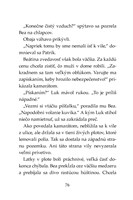 b102l10000617_tigri-tim-zahada-sivej-vil