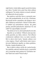 b102l10000617_tigri-tim-zahada-sivej-vil