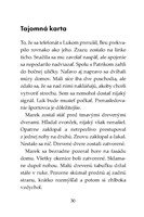 b102l10000620_tigri-tim-sportova-hviezda