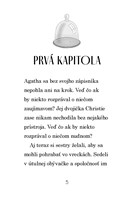 b102l10000916_detektivna-agentura-agatha