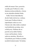 b102l10000916_detektivna-agentura-agatha