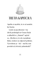 b102l10000916_detektivna-agentura-agatha