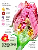 b102l10001041_detska-encyklopedia-vsetke