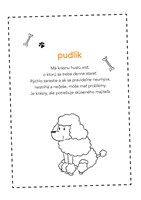 b102l10001129_ako-sa-starat-o-psika_3.jp