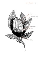 b102l10000066_prirucka-pre-milovnikov-ka