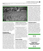 b102l10000550_druha-svetova-vojna-list_s