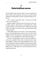 b107l1f16464_alica-v-krajine-zazrakov-b1