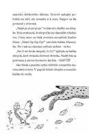 b102l10000137_zachranna-stanica-rys-leo-