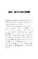 b102l10000318_zachranna-stanica-medved-m