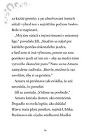 b102l10000567_mesacni-jazdci-1-ohnovy-ko