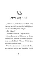 b102l10000816_sherlock-holmes-vysetruje-