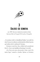 b102l10001274_hviezdy-futbalu-ronaldo_1.