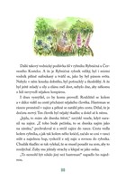 A101E0N0011283_Pohadka-o-vodnicich_list5