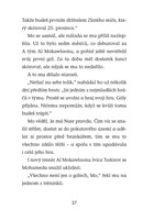 a101f0f0011129_hvezdy-fotbal-hriste-9-sa