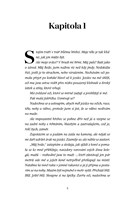 A10160F0009772_Dokonaly-gentleman-list1.