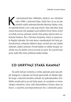 A10160F0007393_Ne-lazdy-vrah-je-zruda-li