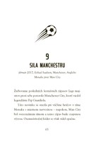 b102l10001372_hviezdy-futbalu-mbappe-lis