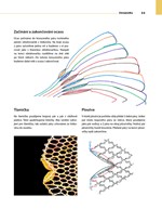 A101E0N0010846_Palickovani-Vlackova_list