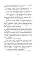 A101M0F0013365_bratrstvo-kniha-sesta-umr