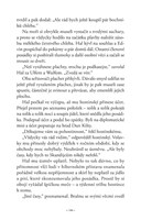 A101M0F0013365_bratrstvo-kniha-sesta-umr