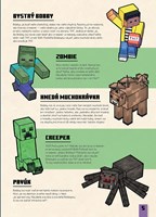 A102M1F0012923_minecraft-kde-je-zombie-l