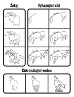 a101f0f0011934_kresleni-krok-za-krokem-1