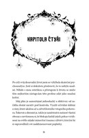 a10130f0012753_wednesday-prevypraveni-1-