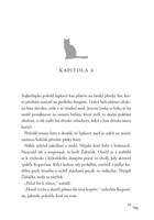 A10110F0009370_Kocici-valecnici-III-04-Z