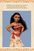 A101M0F0013337_Vaiana-Pohadkovy-roman-cz