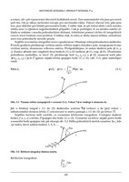 a101f0f0013049_feynmanovy-prednasky-z-fy