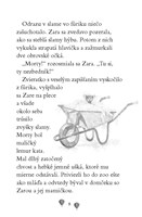 0026362343_b102l10001286_zara-a-jej-zach