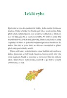 a10110F0011126_viktor-a-pripad-zmizeleho