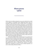 a101Z0F0013154_ladislav-zibura-darkovy-b