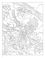 A101E0N0013618_vybarvovani-ptaci_list3.j