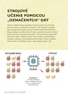 b102l10001243_jednoducho-umela-inteligen