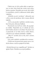 b102l10000387_psie-zachranarky-5-nova-cl