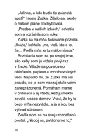 b102l10000432_julinka-mala-zverolekarka-